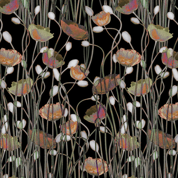 Poppies