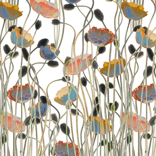 Poppies