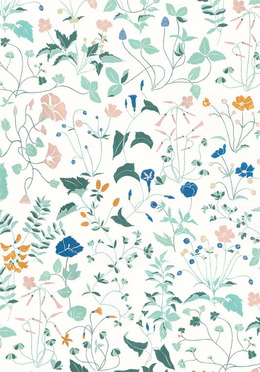Ambre, wallpaper