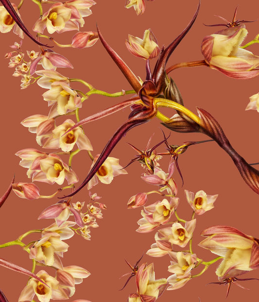 Clowesia