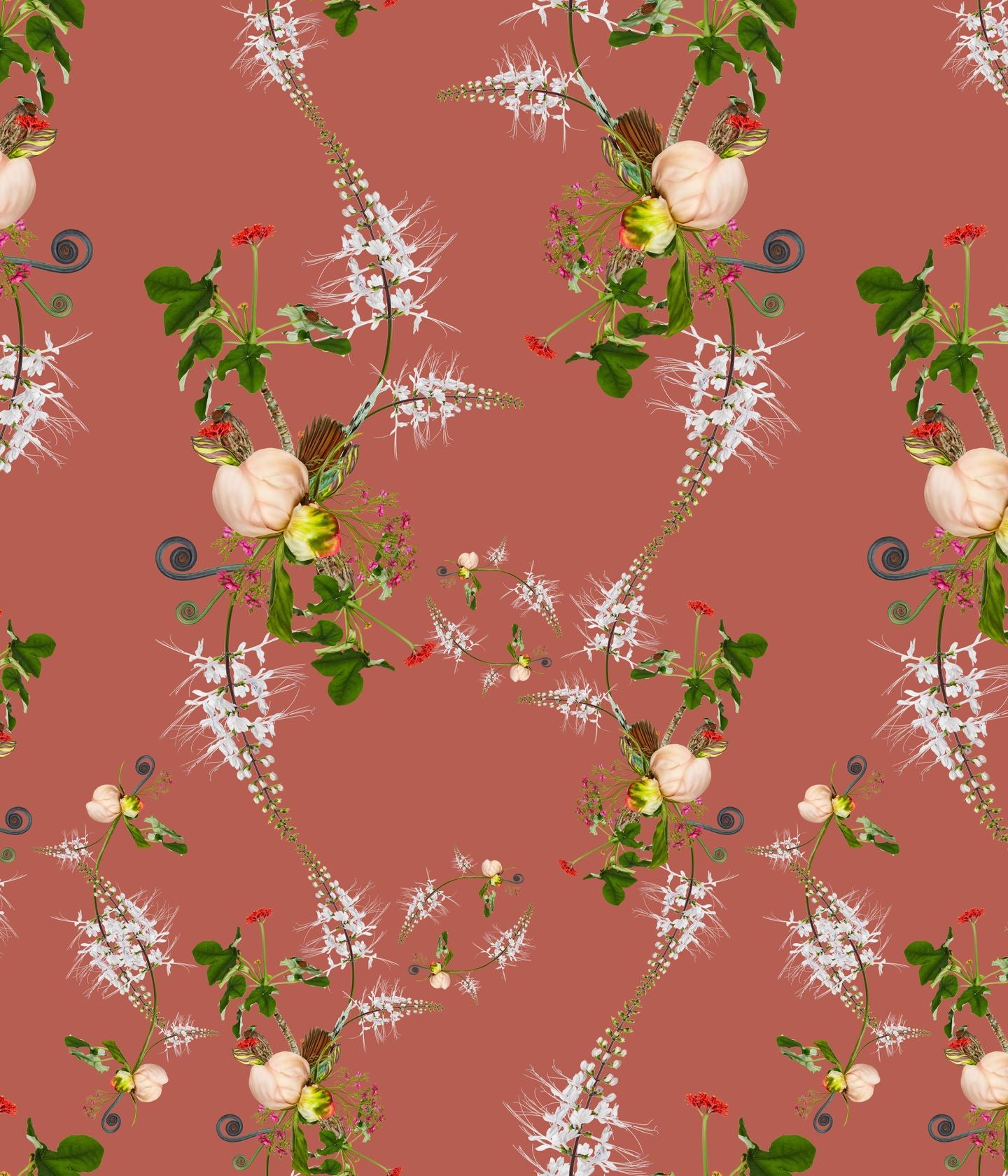 Peony Small