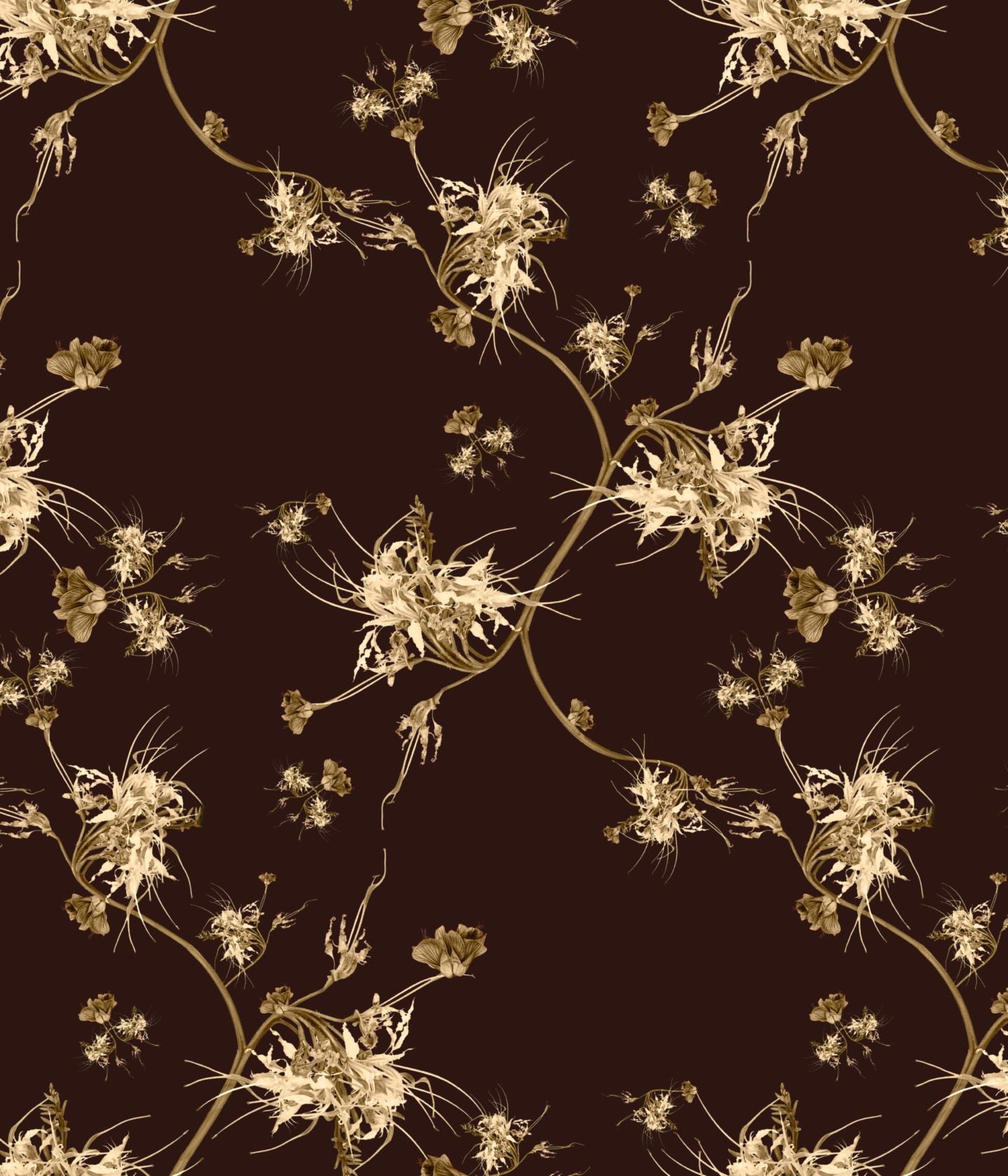 Maple